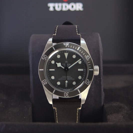 TUDOR Black Bay M79010SG-0001 正面斜め