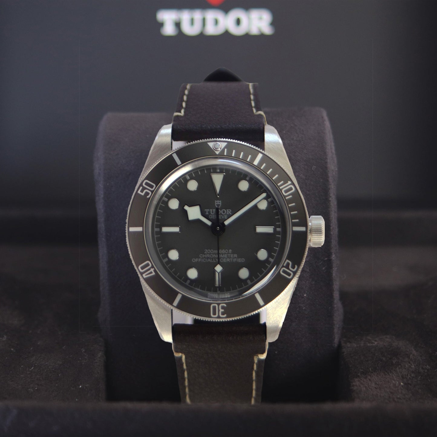 TUDOR Black Bay M79010SG-0001 正面斜め