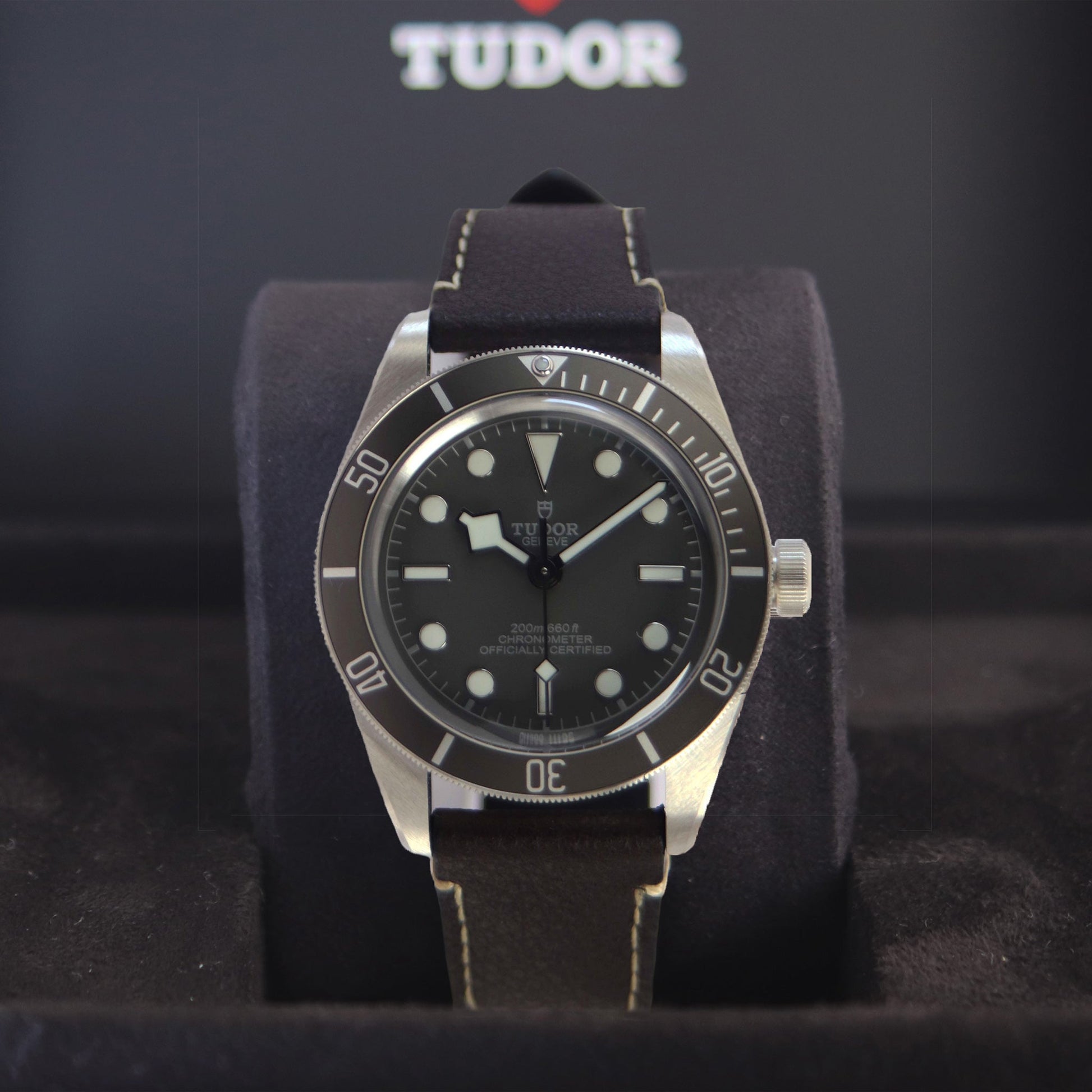 TUDOR Black Bay M79010SG-0001 正面斜め