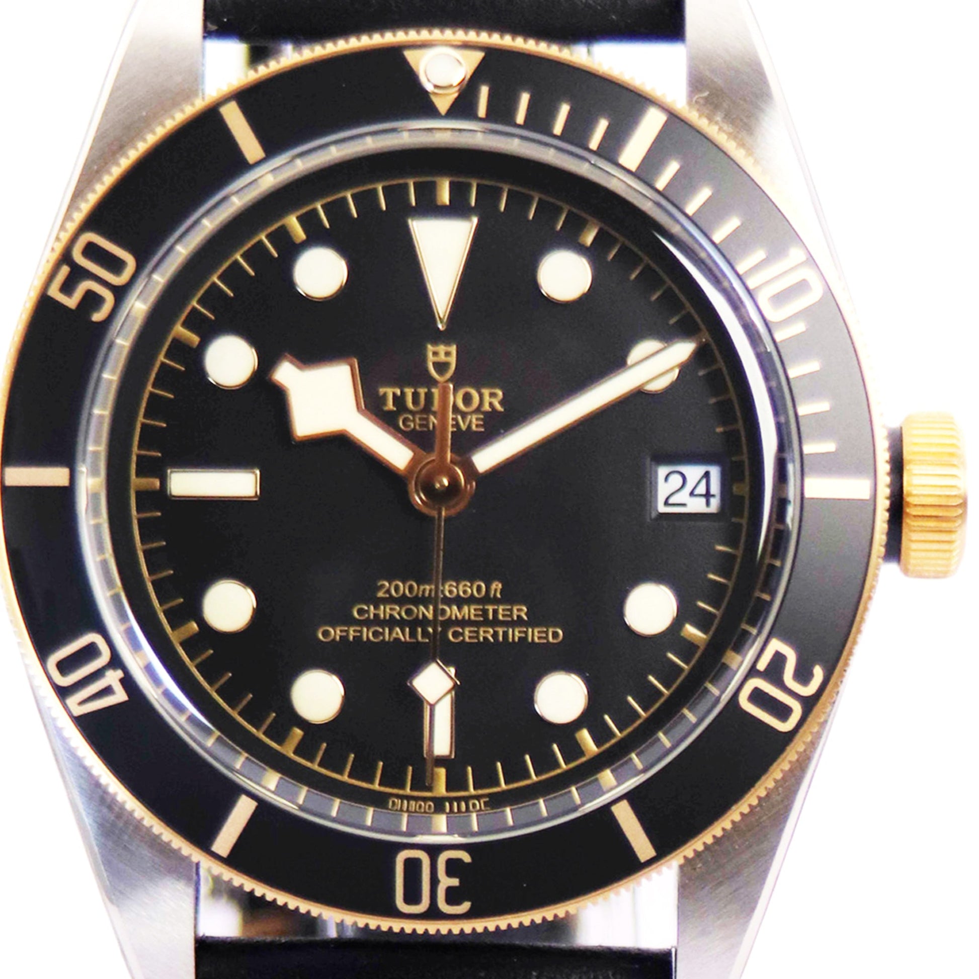 TUDOR Black Bay M79733N-0007 正面