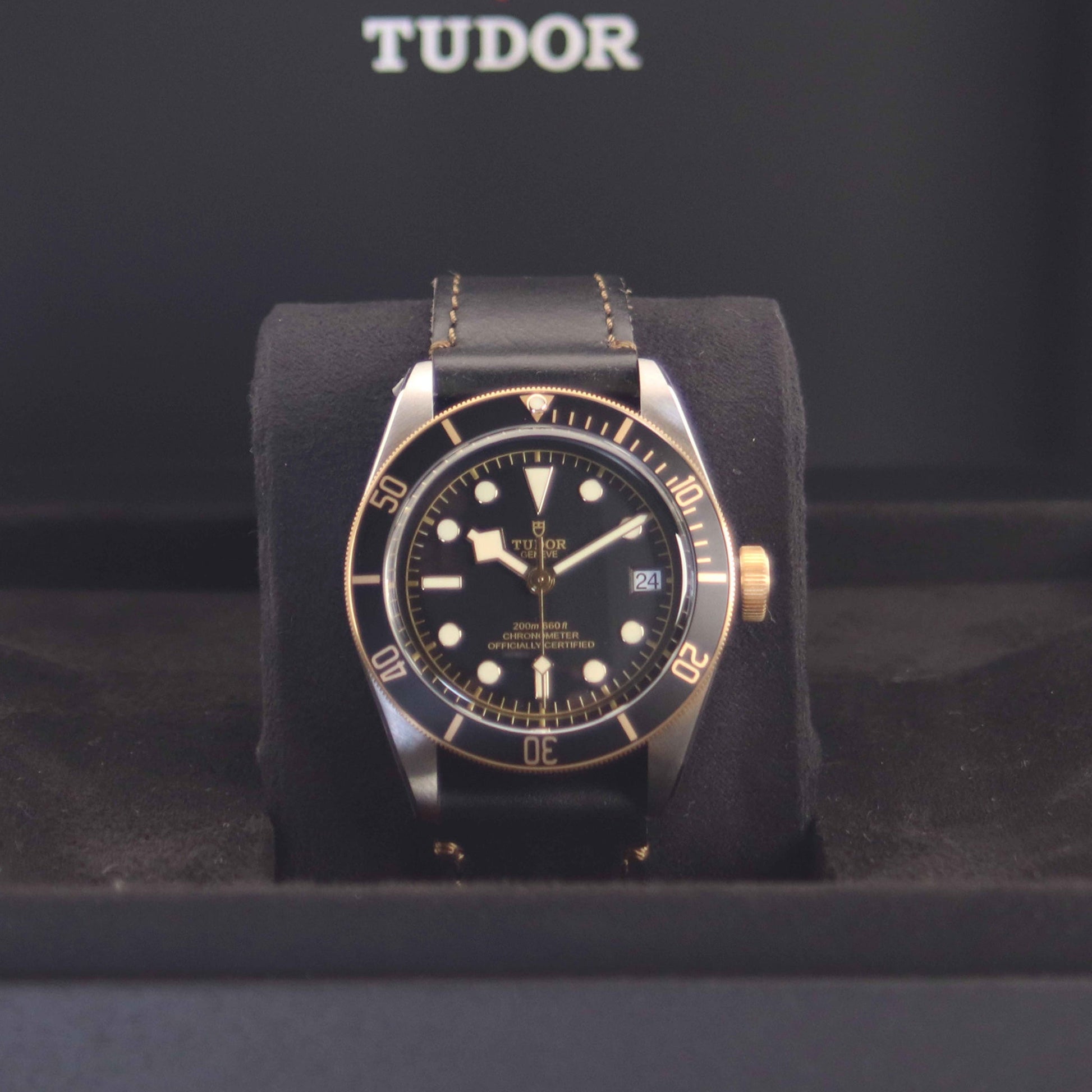 TUDOR Black Bay M79733N-0007 サイド（リューズ側）