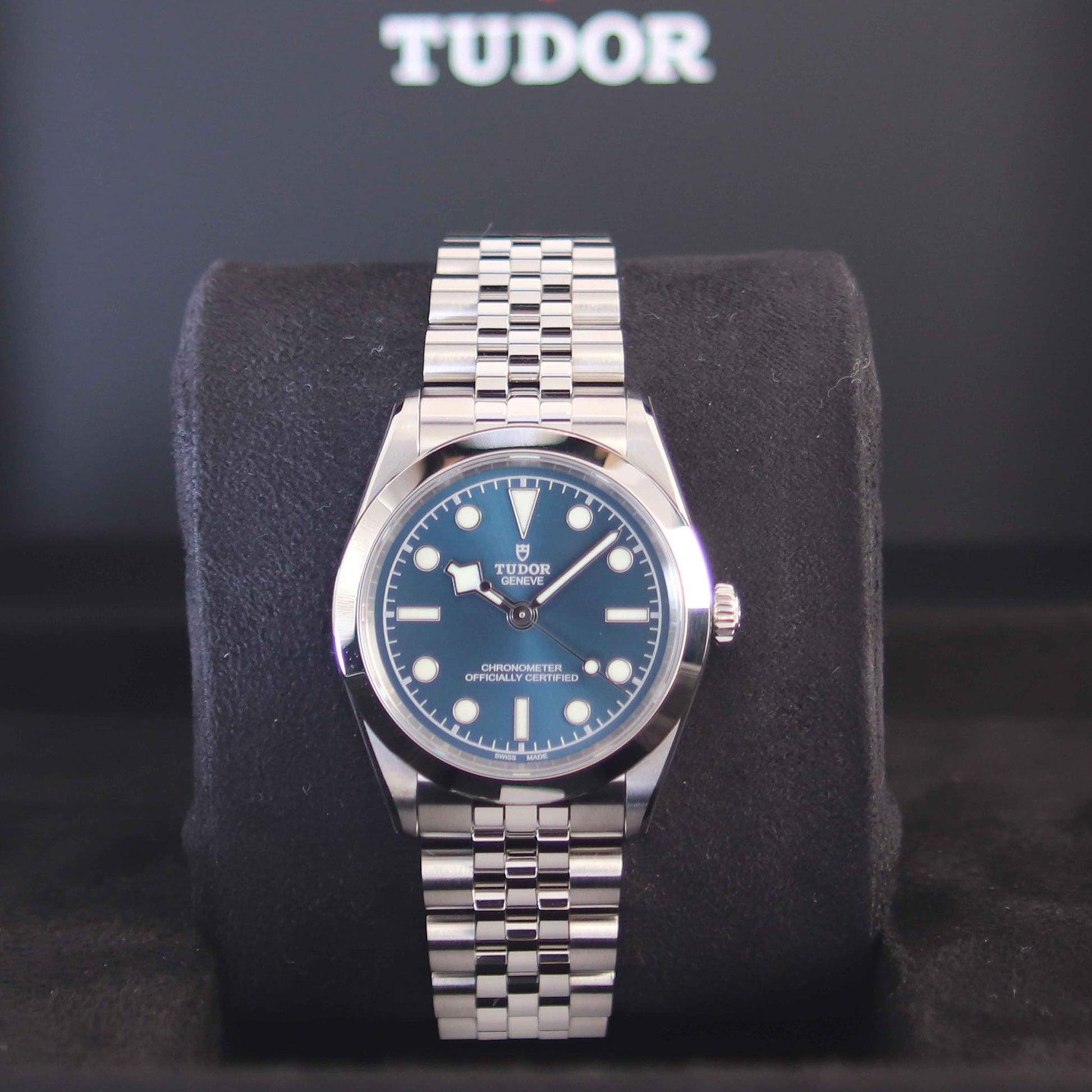 TUDOR Black Bay 36 M79600-0002 斜め正面（ディスプレイ台）