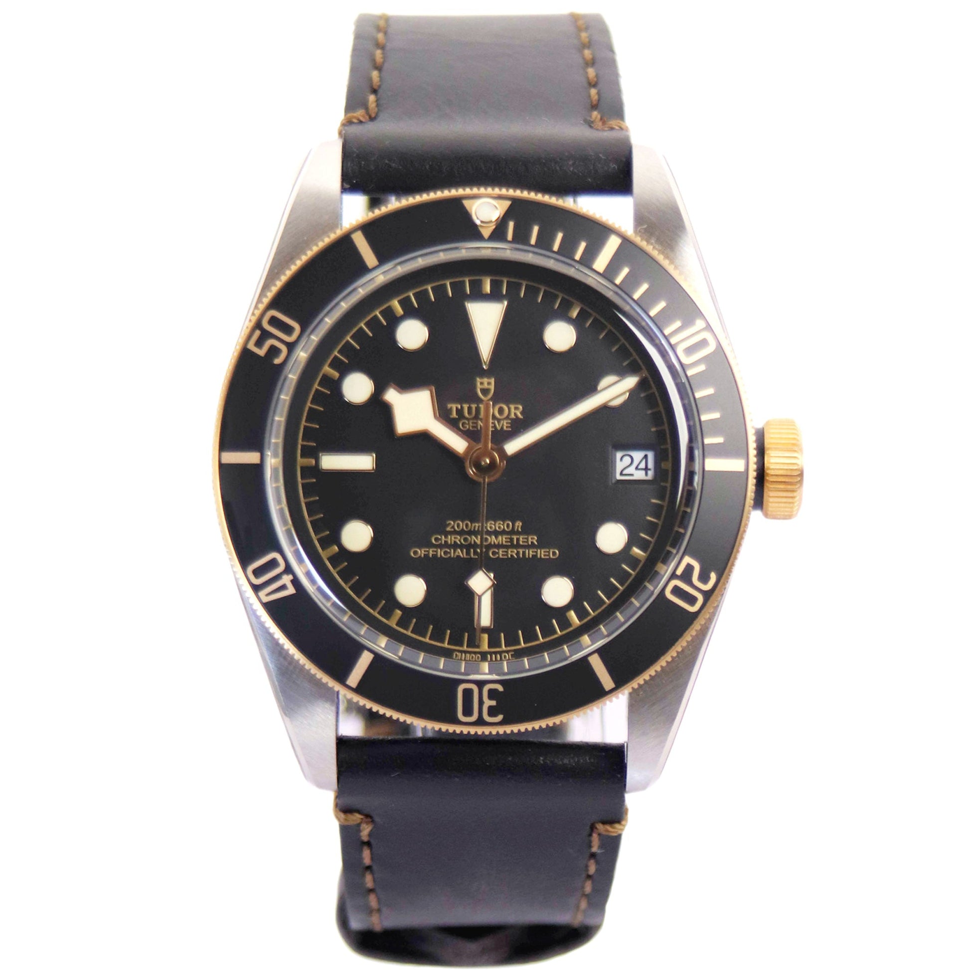 TUDOR Black Bay M79733N-0007 斜め正面