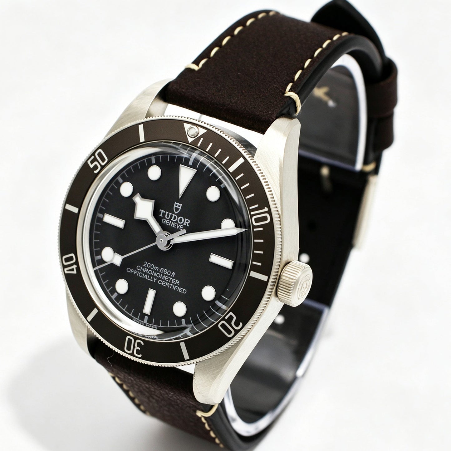 TUDOR Black Bay M79010SG-0001 サイド