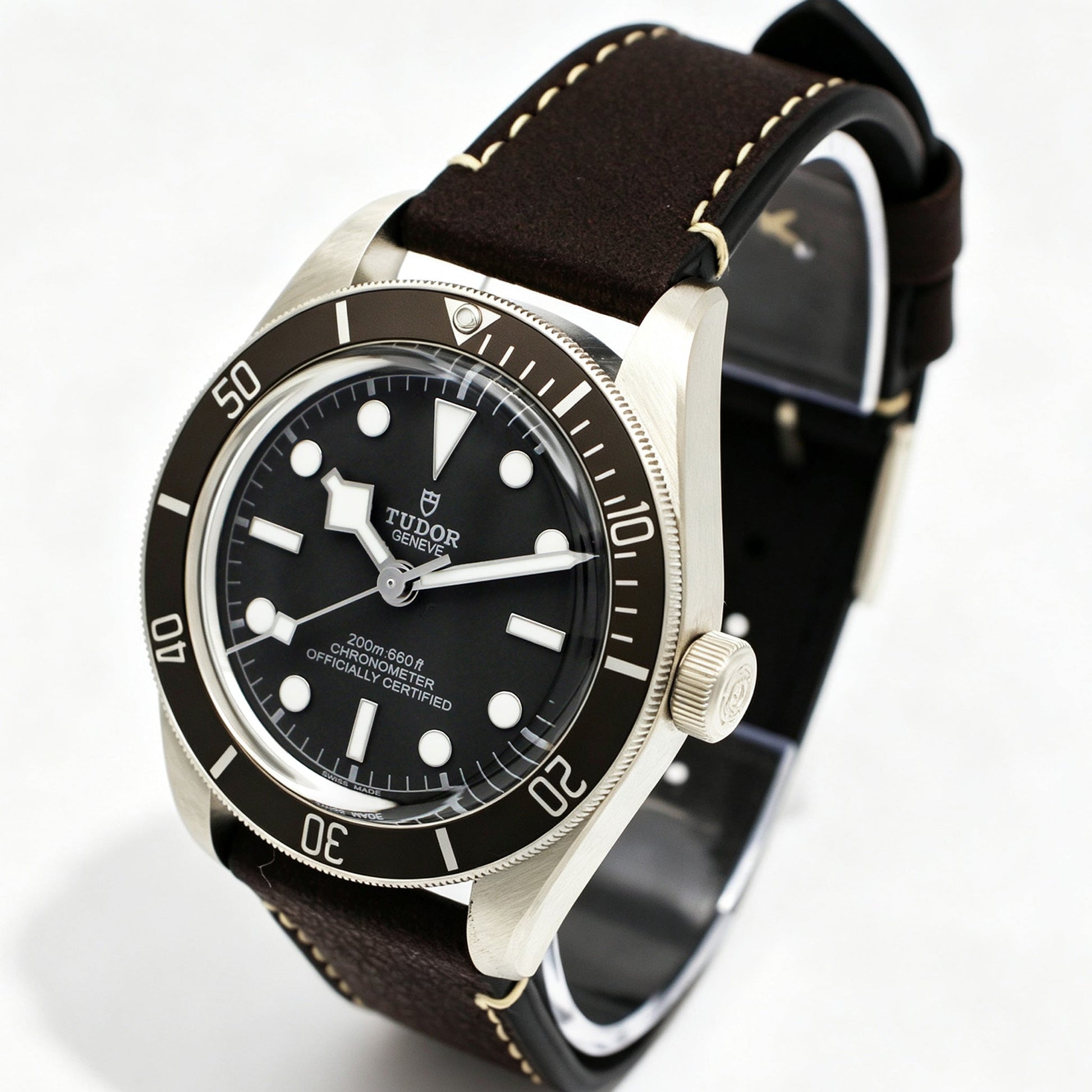 TUDOR Black Bay M79010SG-0001 サイド