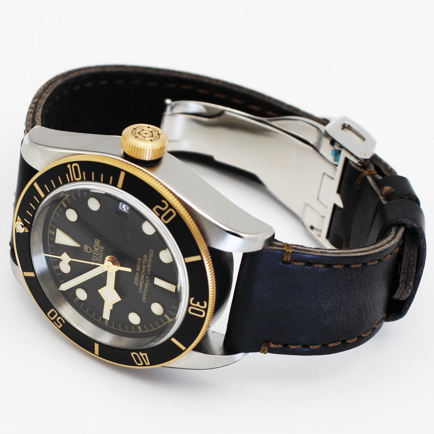 TUDOR Black Bay M79733N-0007 斜め俯瞰
