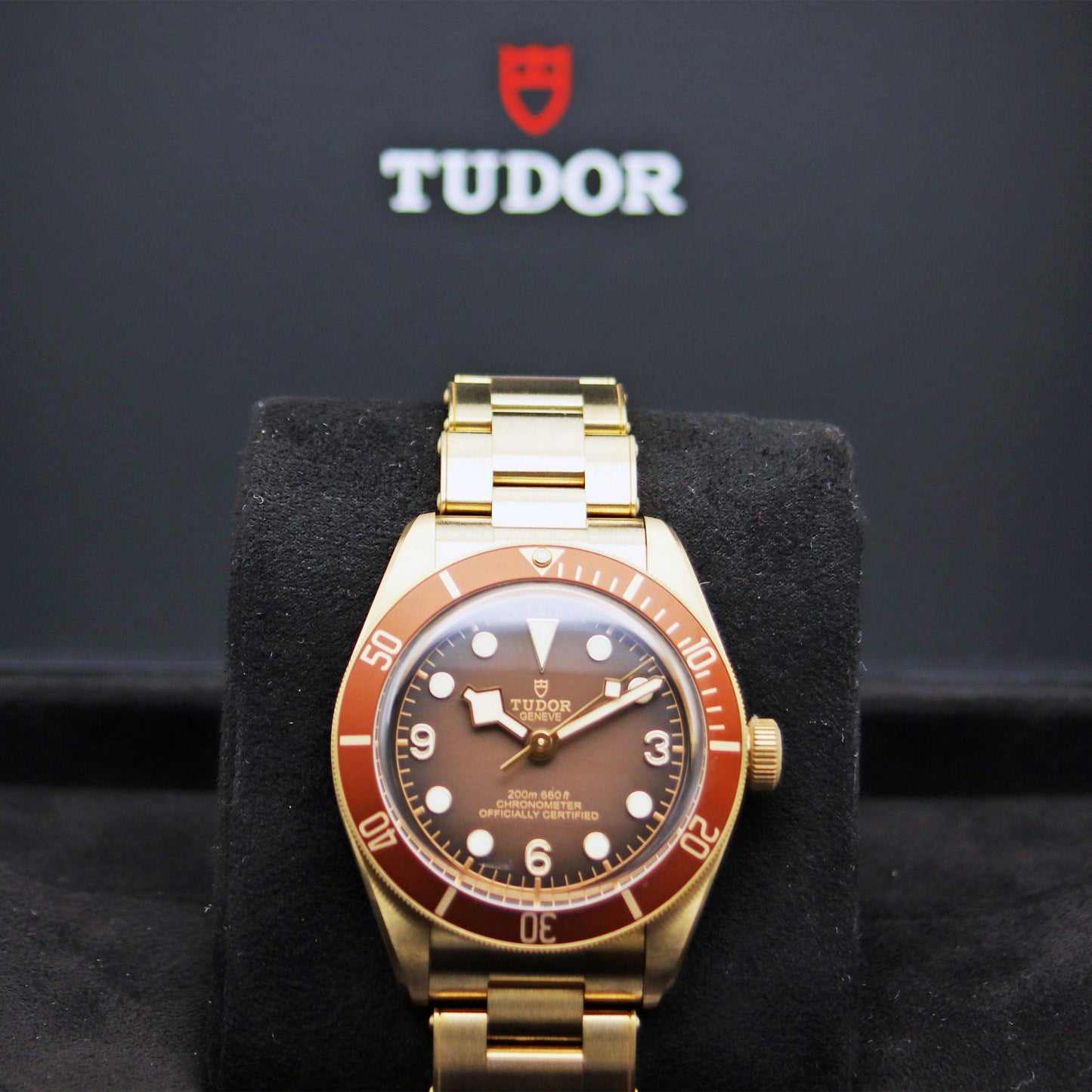 TUDOR Black Bay 58 Bronze 39mm ブロンズブラウンダイアル ブロンズ 自動巻き ダイバーズウォッチ メンズ腕時計