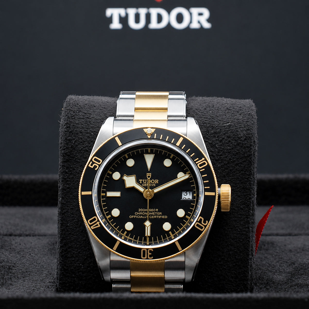 TUDOR Black Bay S&G 41mm ブラックダイアル 自動巻き ダイバーズ